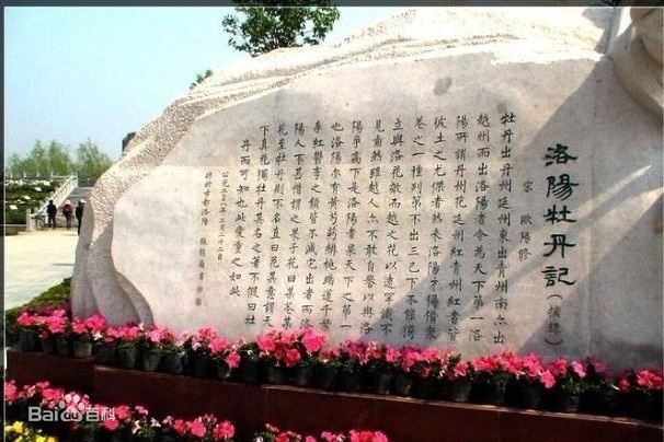 洛陽<em>牡丹</em>記