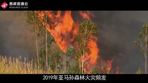 一分鐘了解2019年亞馬孫森林火災