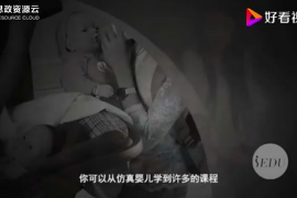 智能仿真嬰兒——并非是一個(gè)玩具