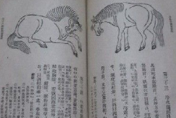 帶你了解司牧安驥<em>集</em>