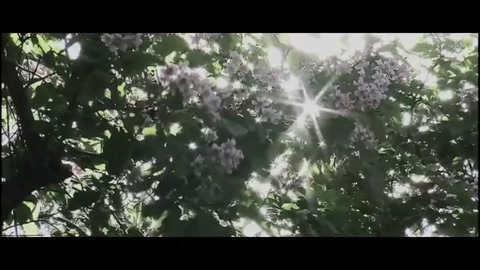 毛概實踐視頻——改編歌曲《少年》