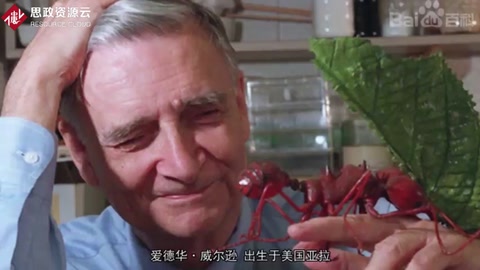 一分鐘了解愛德華·威爾遜