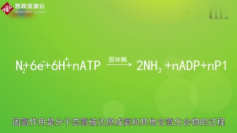 一分鐘了解固氮作用