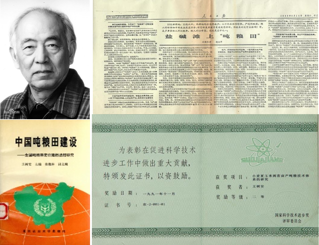 王樹安—在黃淮海平原農業開發中做出了重要貢獻
