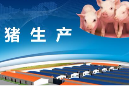 畜牧獸醫(yī)專業(yè)：“豬生產(chǎn)”課程思政案例