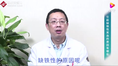 引起缺鐵性貧血的原因有<em>哪些</em>