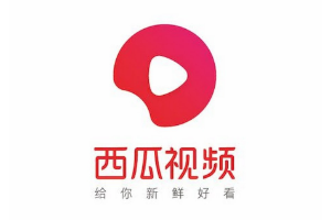 西瓜視頻——<em>字節</em><em>跳動</em>旗下的中視頻平臺