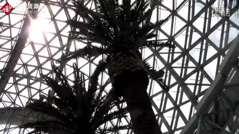 青島世博園景區<em>的</em>植物館