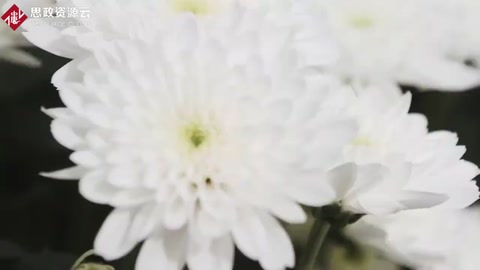 <em>世界</em>上最大型<em>花卉</em>種植基地，<em>世界</em>一半資源都來(lái)自于這里！