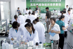全國高職組植物組織培養<em>技能</em><em>大賽</em><em>現場</em>裁判