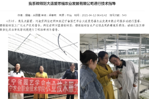 <em>科技</em>服務--遼寧省園藝學會技術服務團隊到大連愛思<em>福</em>農業發展有限公司服務站開展技術服務