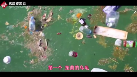 塑料對動物的危害這么大！