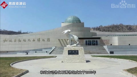 一分鐘帶你游遍和政古動物化石博物<em>館</em>