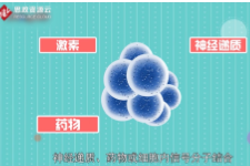 一分鐘了解受體