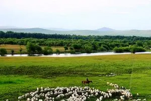 人才培養(yǎng)方案：《園林工程技術(shù)》專業(yè)人才培養(yǎng)方案