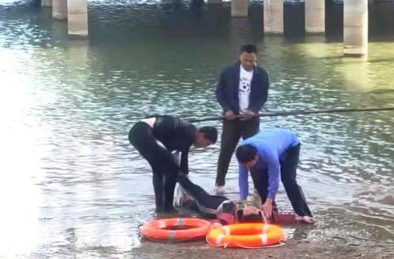 跳湖救人+心肺復(fù)蘇，張清光這波操作英勇，更專業(yè)！