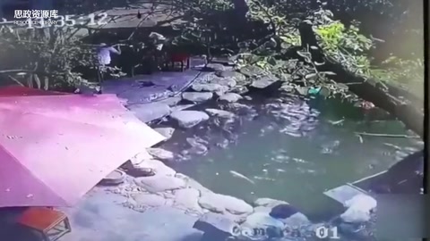 前國(guó)腳韓鵬救落水兒童