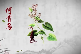 弘揚<em>中醫藥</em><em>文化</em>,傳播<em>中醫藥</em>知識：中華<em>本草</em>-何首烏
