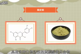 槲皮素：具有多種生物活性的<em>黃酮</em>醇類<em>化合物</em>