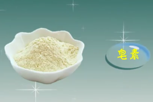皂苷：苷元為三萜或螺旋甾烷類化合物的一類糖苷