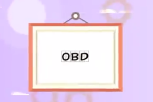 OBD：車載自動診斷系統