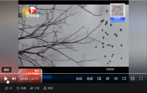 授課視頻—<em>疫情</em>下的愛情：隔空<em>不</em>隔愛