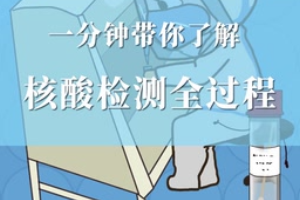 帶你了解核酸檢測全過程