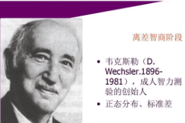 什么是<em>韋</em>氏智力測驗