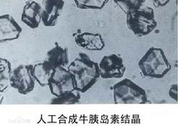 帶你了解<em>人工合成</em><em>牛</em><em>胰島素</em>