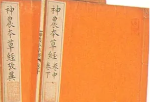 <em>帶你</em><em>了解</em>《神農本草經》