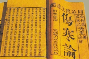 快速了解《傷寒雜病論》