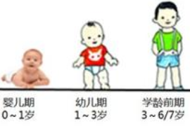 幼兒年齡劃分
