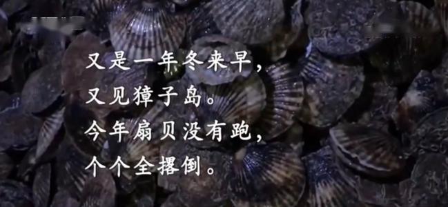 <em>項目</em><em>四</em><em>存貨</em>----<em>存貨</em><em>期末</em><em>計量</em>（<em>獐子</em><em>島</em><em>違規</em><em>案例</em>，<em>合法經營</em><em>重要性</em>）-<em>圖片</em>4