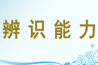 授課圖片—辨識能力