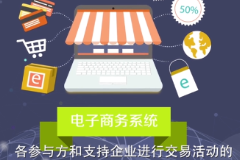 電子商務(wù)系統(tǒng)—商業(yè)智能的計(jì)算機(jī)網(wǎng)絡(luò)系統(tǒng)