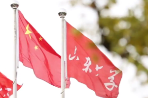 <em>微</em><em>課</em>：<em>漢語(yǔ)</em>言文學(xué)<em>專業(yè)</em>《現(xiàn)代<em>漢語(yǔ)</em>》