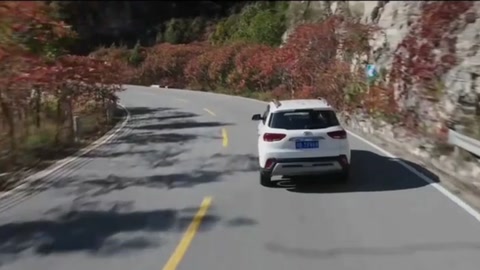 剎車失靈導致汽車撞到石頭