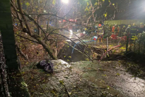 浙大玉泉<em>校區</em>附近道路坍塌長達十米