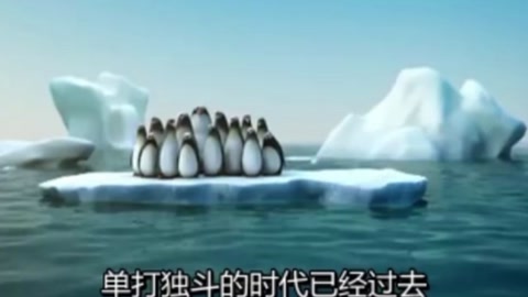 團隊合作的力量