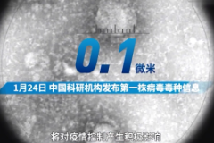 授課視頻：刻度上<em>的</em>中國<em>戰</em><em>疫</em>