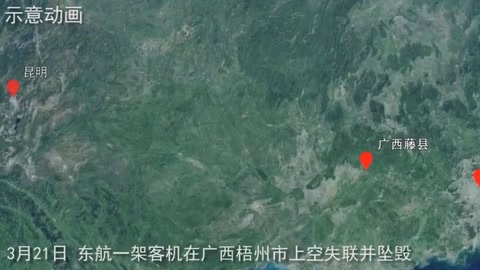 <em>直</em><em>擊</em>東航客機墜機事故救援現場