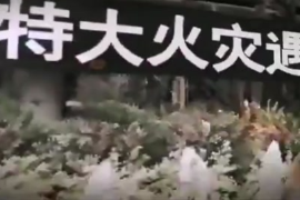 2010年上海靜安區“11.15特<em>大火</em>災"58人<em>遇難</em>，71人<em>受傷</em>