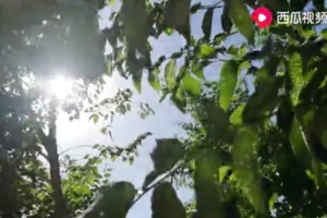 鐵路供電人——高鐵供電<em>的</em>‘<em>幕后英雄</em>’