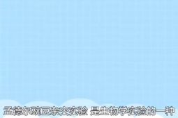孟德爾豌豆雜交實驗
