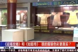 《延禧攻略》和《如懿傳》播出后，有人研究起了劇中的服裝色彩