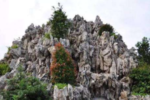<em>授課</em><em>圖片</em>—<em>假山</em>堆疊