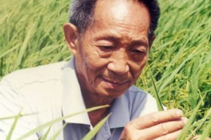 授課圖片—<em>袁隆平</em>