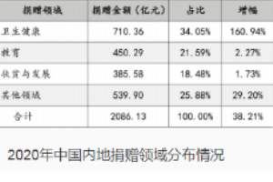 2020年中國內地捐贈領域分布情況