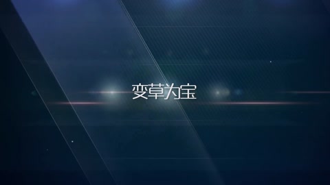 <em>變</em>草<em>為</em>寶