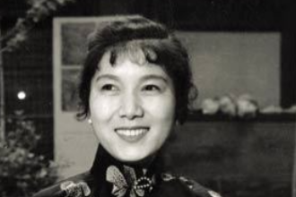帶你了解新鳳霞